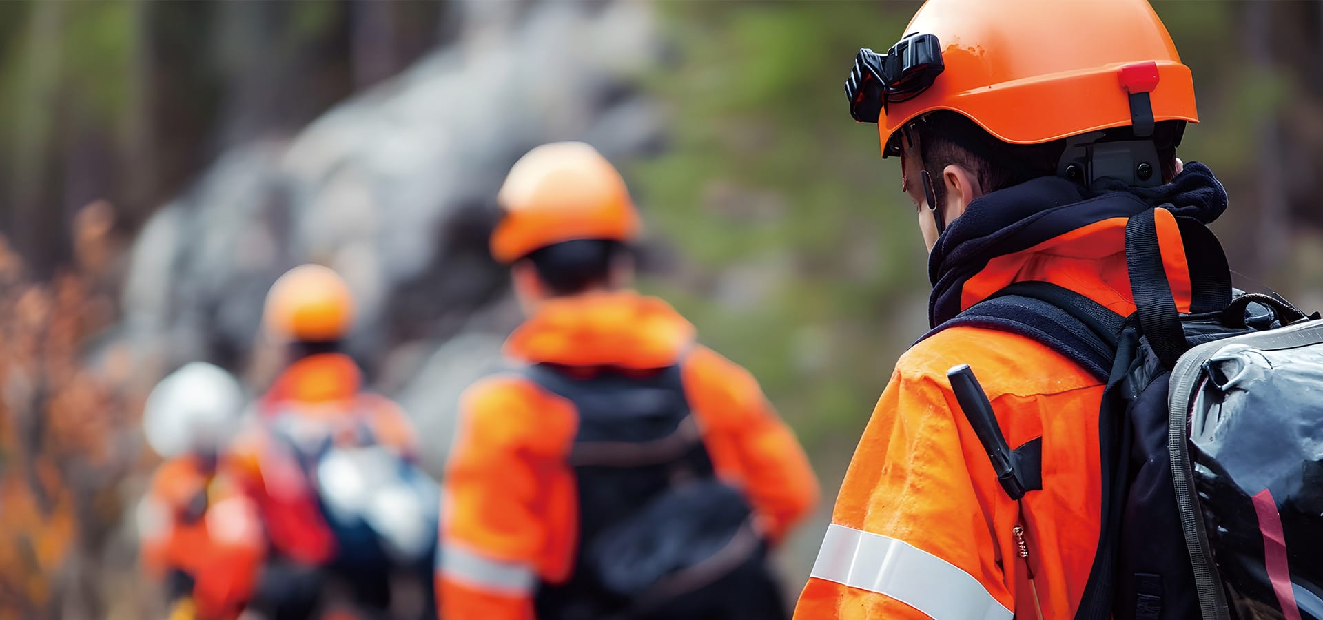 team-forestry-workers-protective-gear-exploring-woodlands